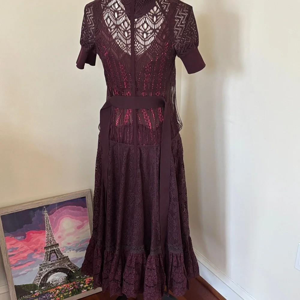 Byron Lars Deep Burgundy Midi Dress Size 4 - Picture 3 of 12